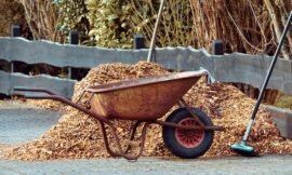 5 Ingenious Uses for Extra Mulch