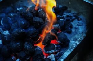 Read more about the article Charcoal Can Be Composted Other Ingenious Applications