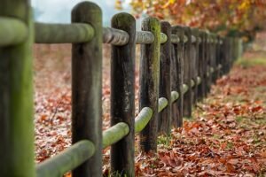 Read more about the article How To Prevent And Repair Green Wooden Fences