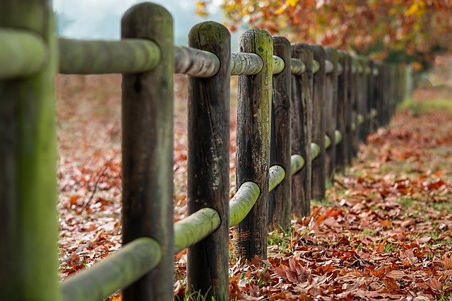 How To Prevent And Repair Green Wooden Fences