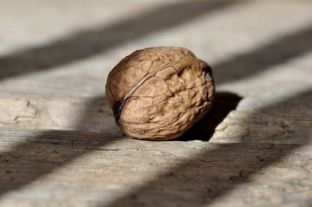 How to Prevent Rotting in a Shed Floor