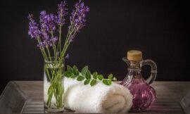 Indoor Lavender Growing Instructions