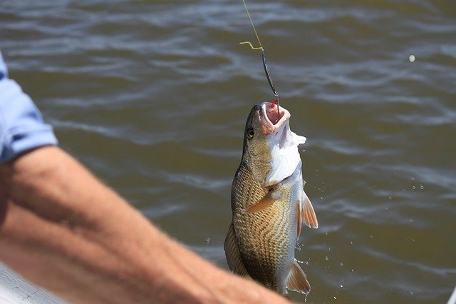 Is Fishing With Corn Legal In Texas