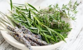 Rosemary Can Be Grown Indoors Tips on how