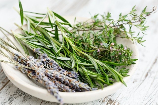 Rosemary Can Be Grown Indoors Tips On How
