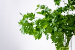 Read more about the article The Best Indoor grown Herbs