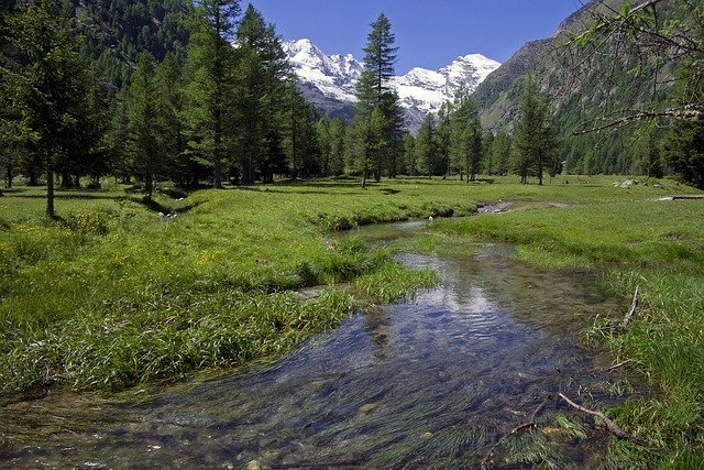 The Best Way to Stop Your Neighbor's Yard Water Runoff