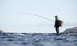 What Size Reel Should I Use For Bass Fishing?