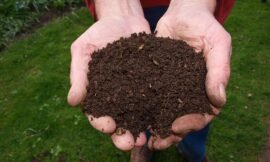 What is composting and why should you turn it?