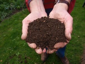 Read more about the article What is composting and why should you turn it?