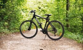 What to Look for in a Hardtail Mountain Bike