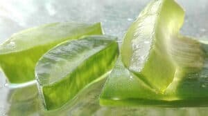 Read more about the article 30 Stunning Ways to Use Aloe Vera