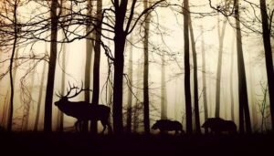 Read more about the article Is Night Vision Possible for Deer?