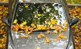 5 Crucial Springtime Car Cleaning Advice