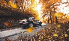 Tips for Safe Driving in the Autumn