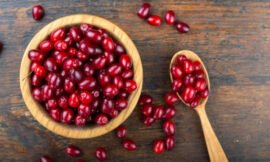 Cranberries. are they safe for dogs to eat?