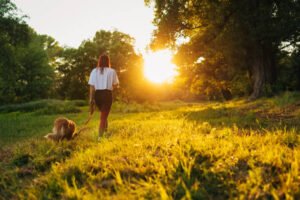 Read more about the article Why Do Dogs Sunbathe? 5 Major Health Advantages