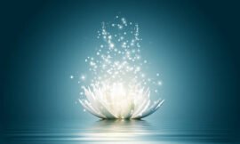 Meditation: What It Means to See a Lotus Flower