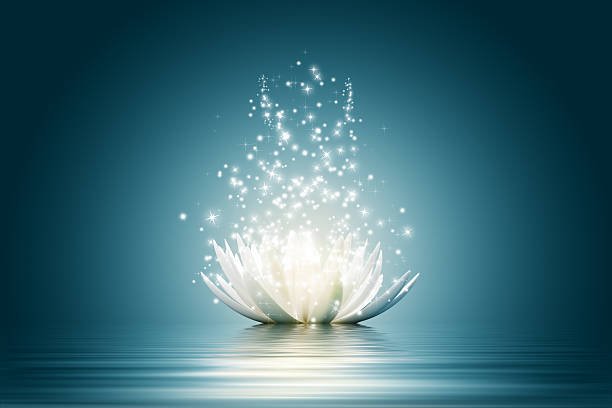 Meditation: What It Means to See a Lotus Flower.
