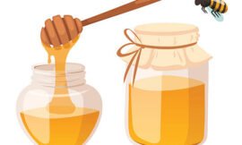 Can honey preserve food?