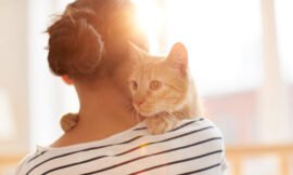 5 Cat Issues That Require Urgent Veterinary Care