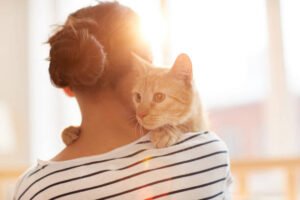 Read more about the article 5 Cat Issues That Require Urgent Veterinary Care