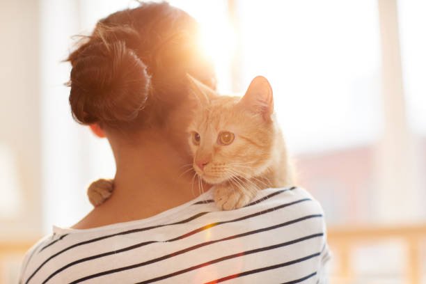 5 Cat Issues That Require Urgent Veterinary Care.