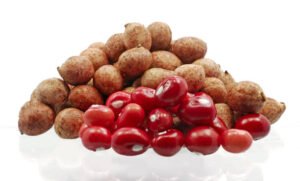 Read more about the article Advantages of Bambara Groundnut for Health