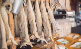 Consuming Stockfish Is Beneficial In Many Ways