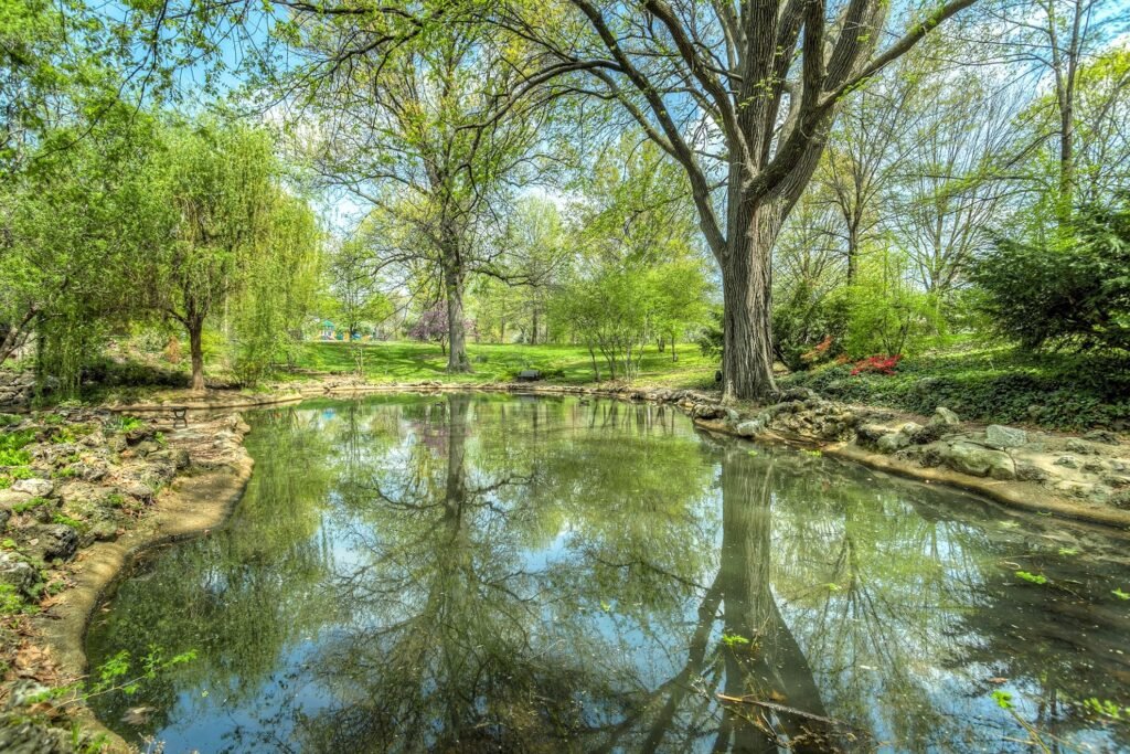 3 Ingenious Ways to Use an Unwanted Pond.